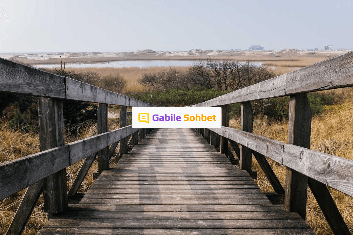 Görüntülü Chat: Omegle Benzeri Mobil Sohbet