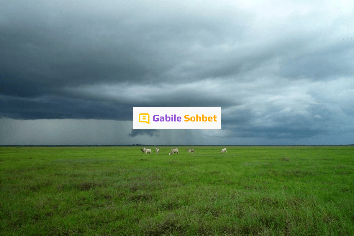 Görüntülü Sohbet: Whatsapp Telegram Sohbet