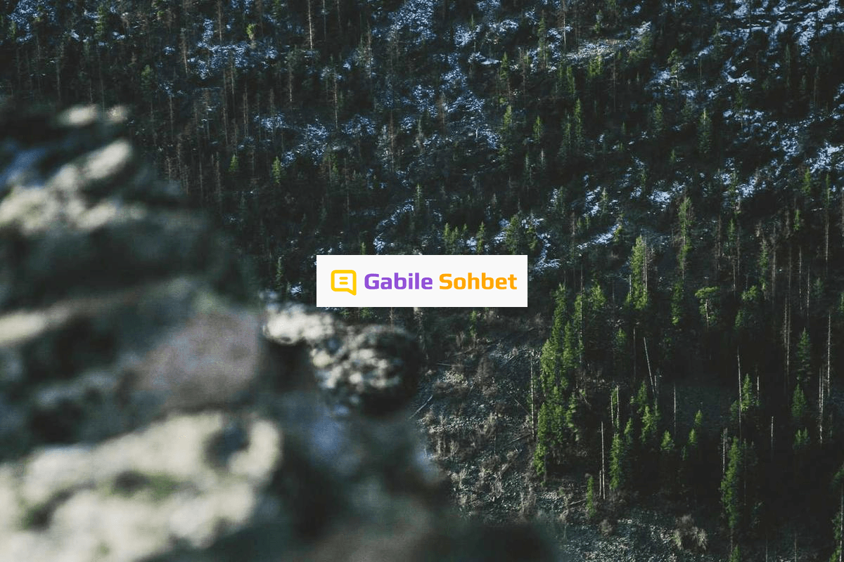 Liseli Sohbet: Random Chat Deneyimi