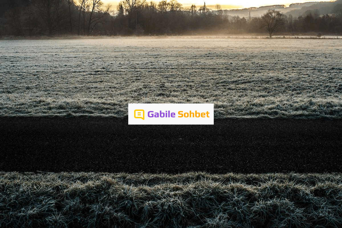 Random Sohbet: Yüzük Chat ve Liseli Sohbet