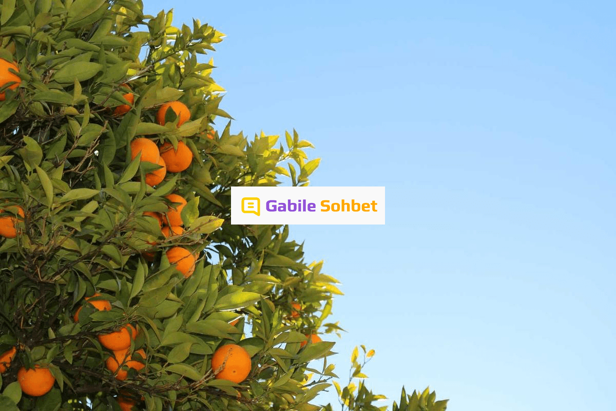 Sesli Sohbet: Bizim Mekan Chat Deneyimi