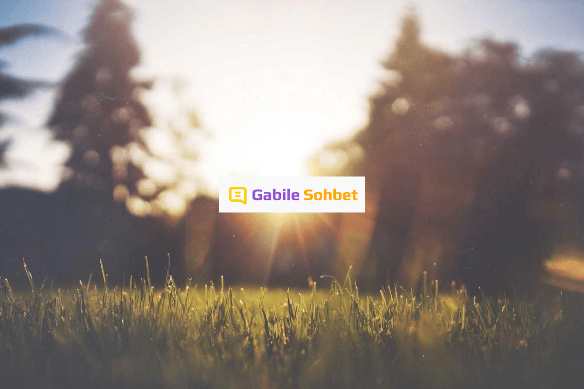 Sohbet Odaları: Kızlarla Mobil Sohbet