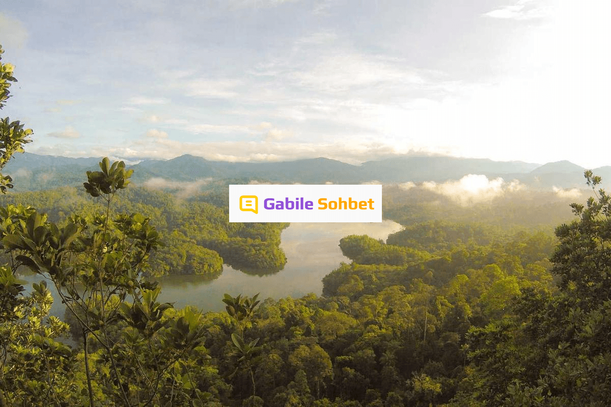 Sohbet Odaları: Yüzük Chat ve Sesli Chat