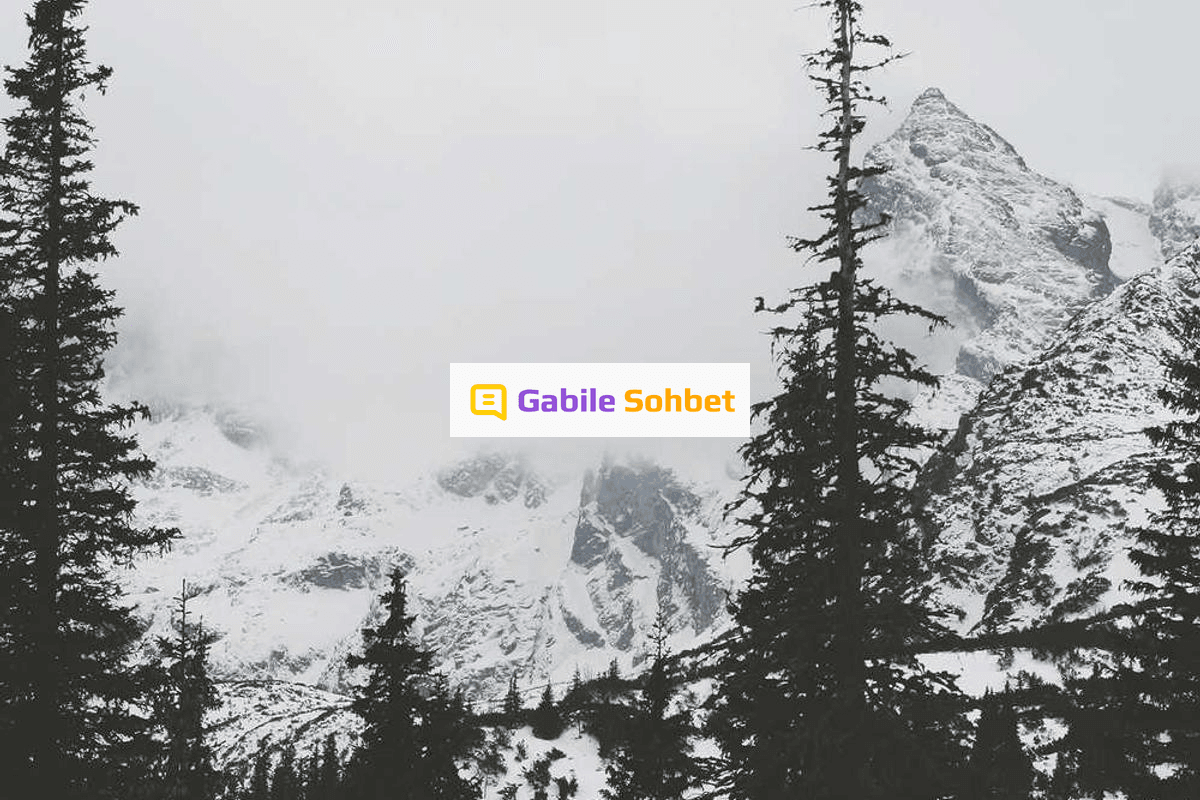 Bizim Mekan: Sanal Chat Sitesi Özellikleri