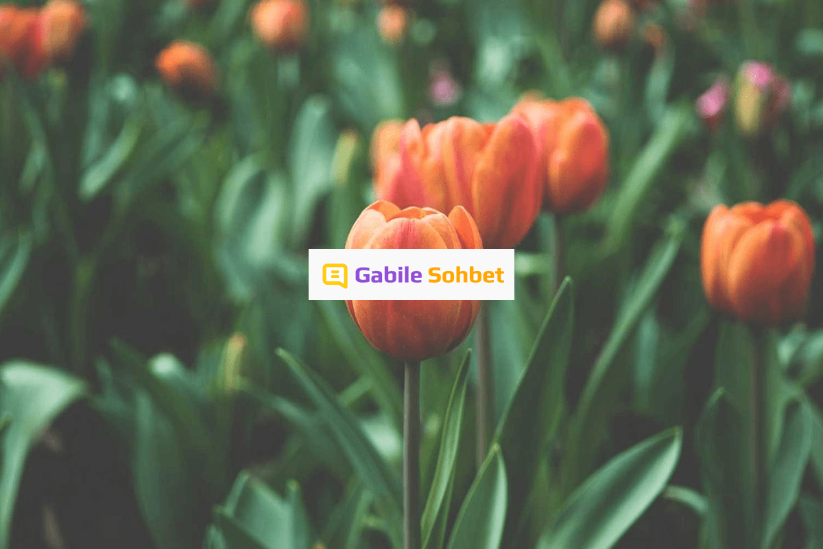 Kızlarla Muhabbet: Mobil Chat Random