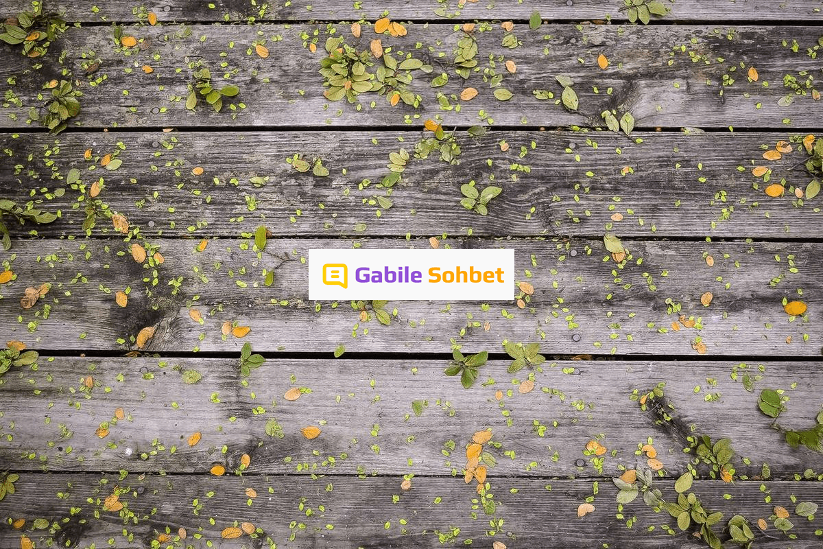 Liseli Chat: Random Sohbet Uygulamaları