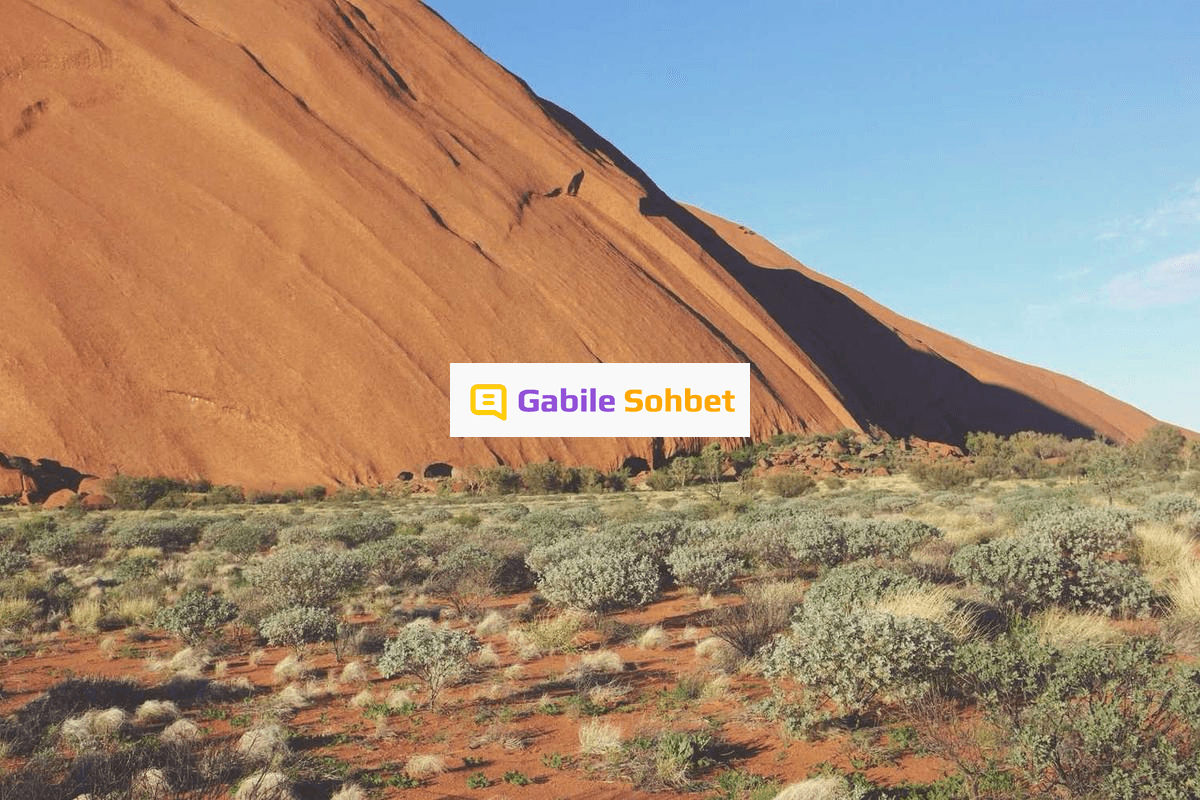 Online Muhabbet: Whatsapp Telegram Chat