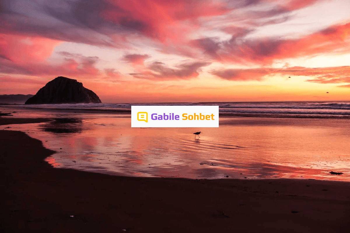 Sohbet Sitesi: Siber Alemde Yüzük Chat