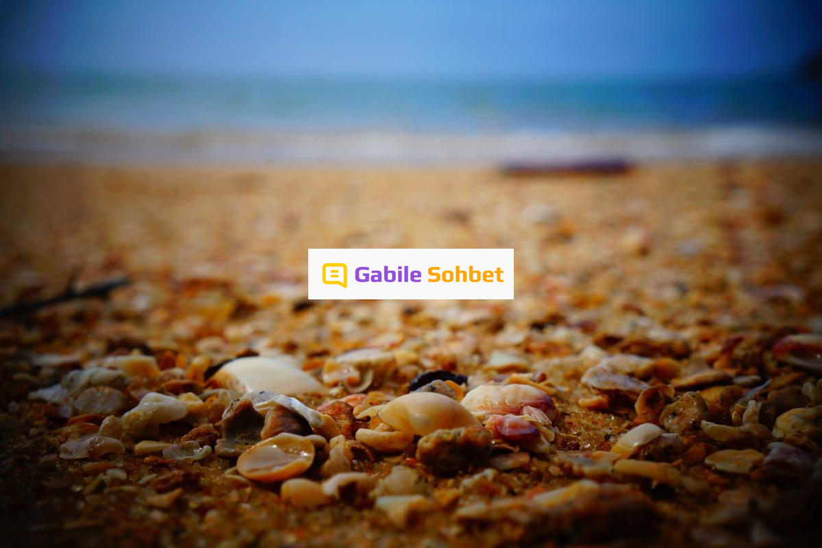 Bizim Mekan Sohbet: Whatsapp Sohbet