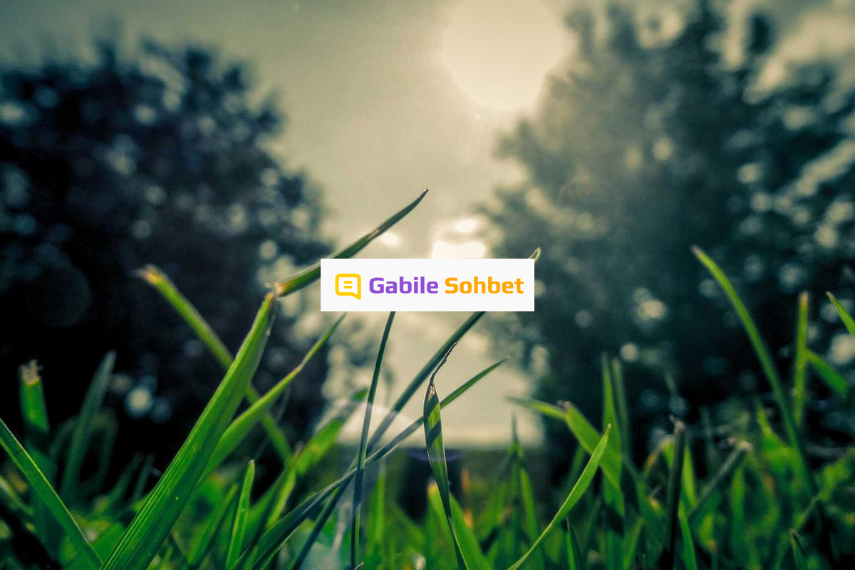 Görüntülü Sesli Sohbet: Telegram Chat