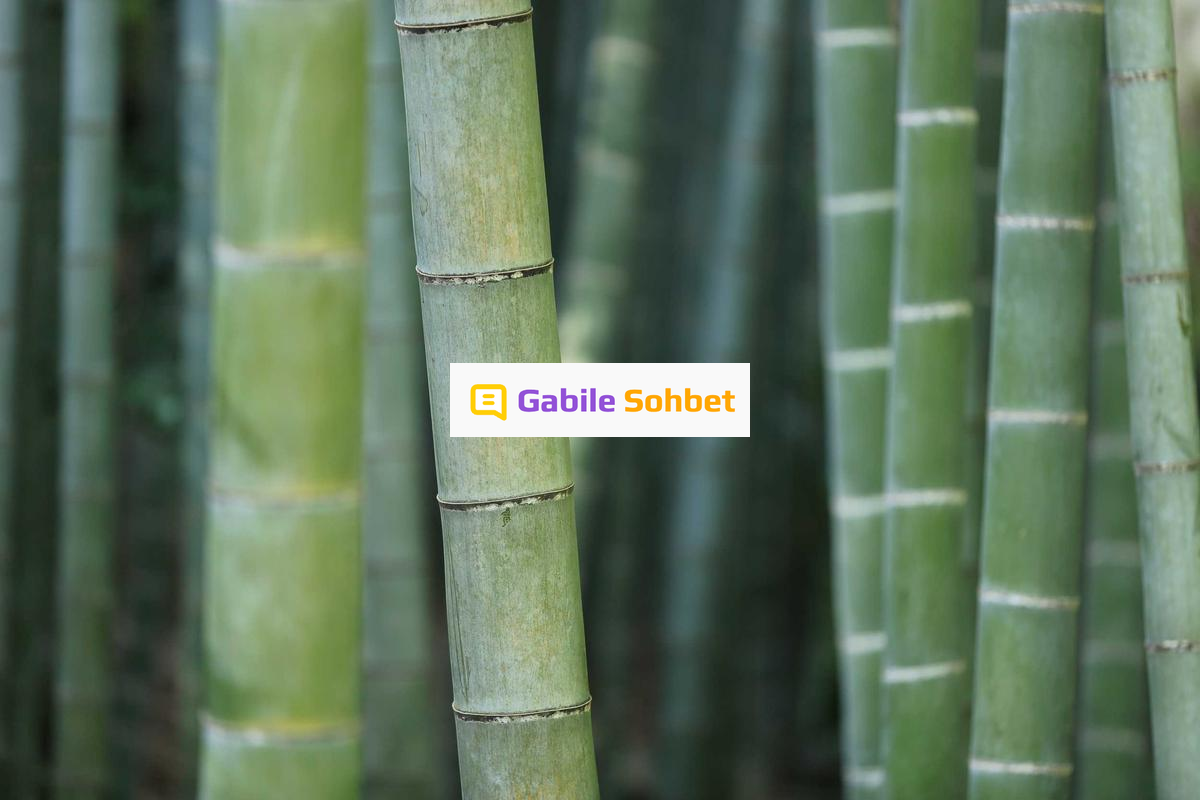 Görüntülü Sohbet: Sesli Chat Taktikleri