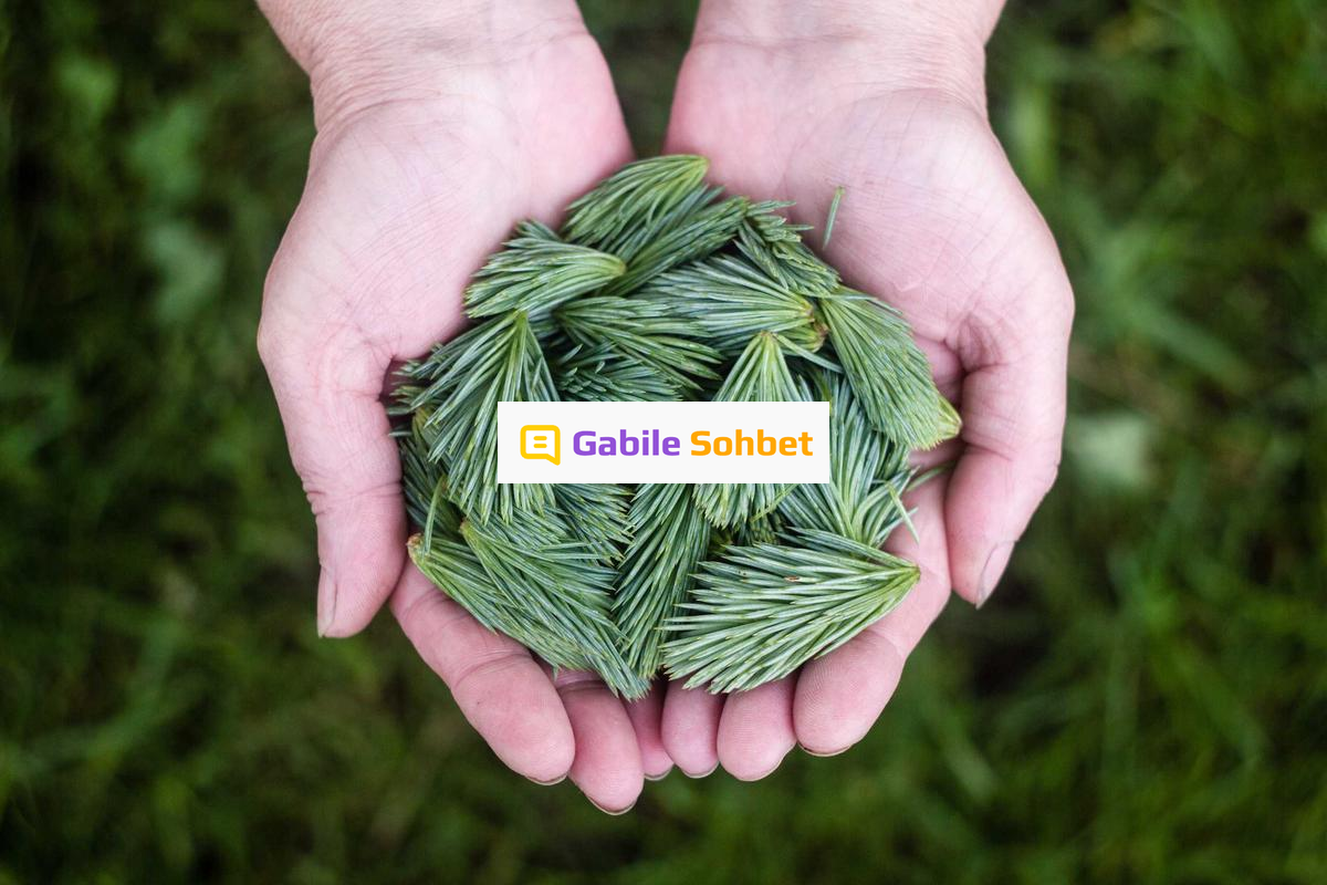 Kızlarla Online Chat: Yüzük Chat Seçenekleri