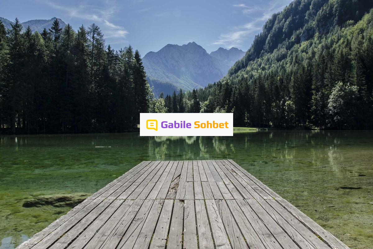 Online Chat: Omegle Benzeri Yüzük Chat