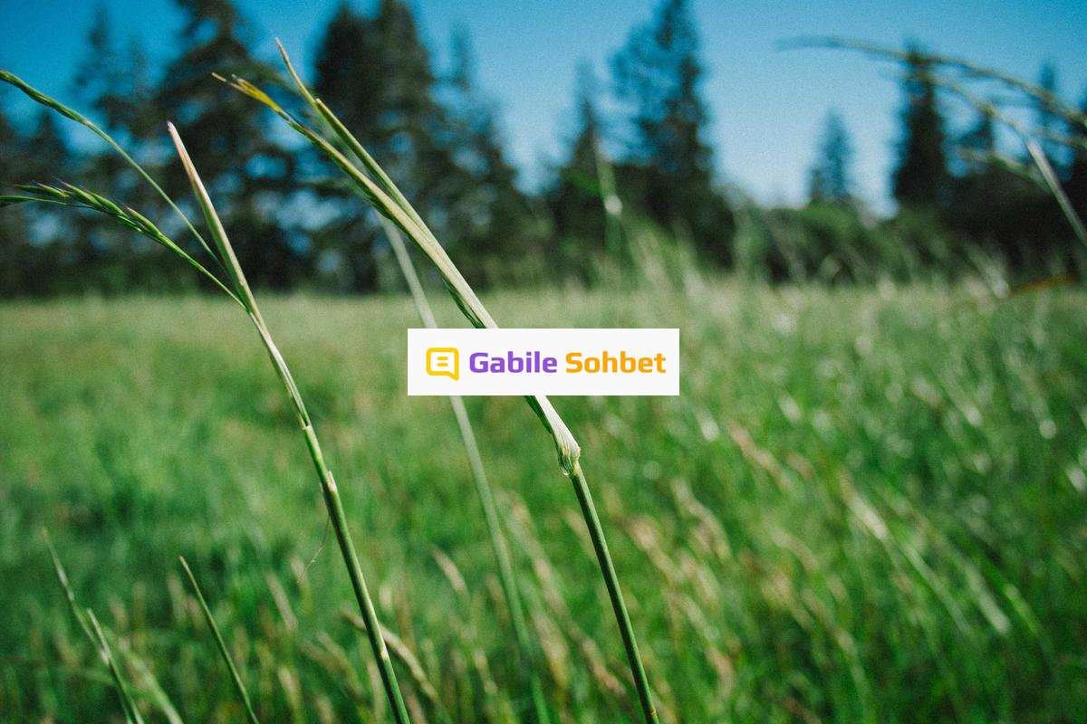 Online Chat Random: Sesli Sohbet