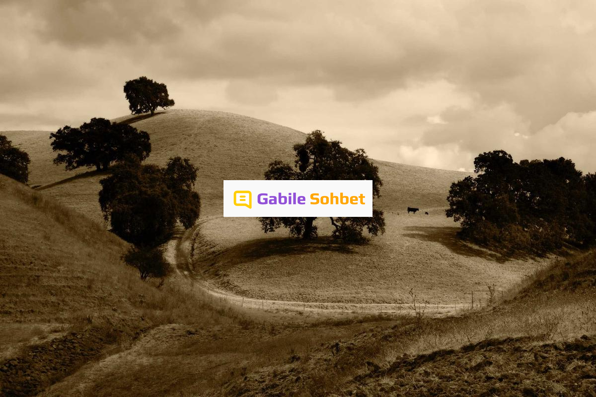 Online Muhabbet: Liseli Sohbet Sitesi