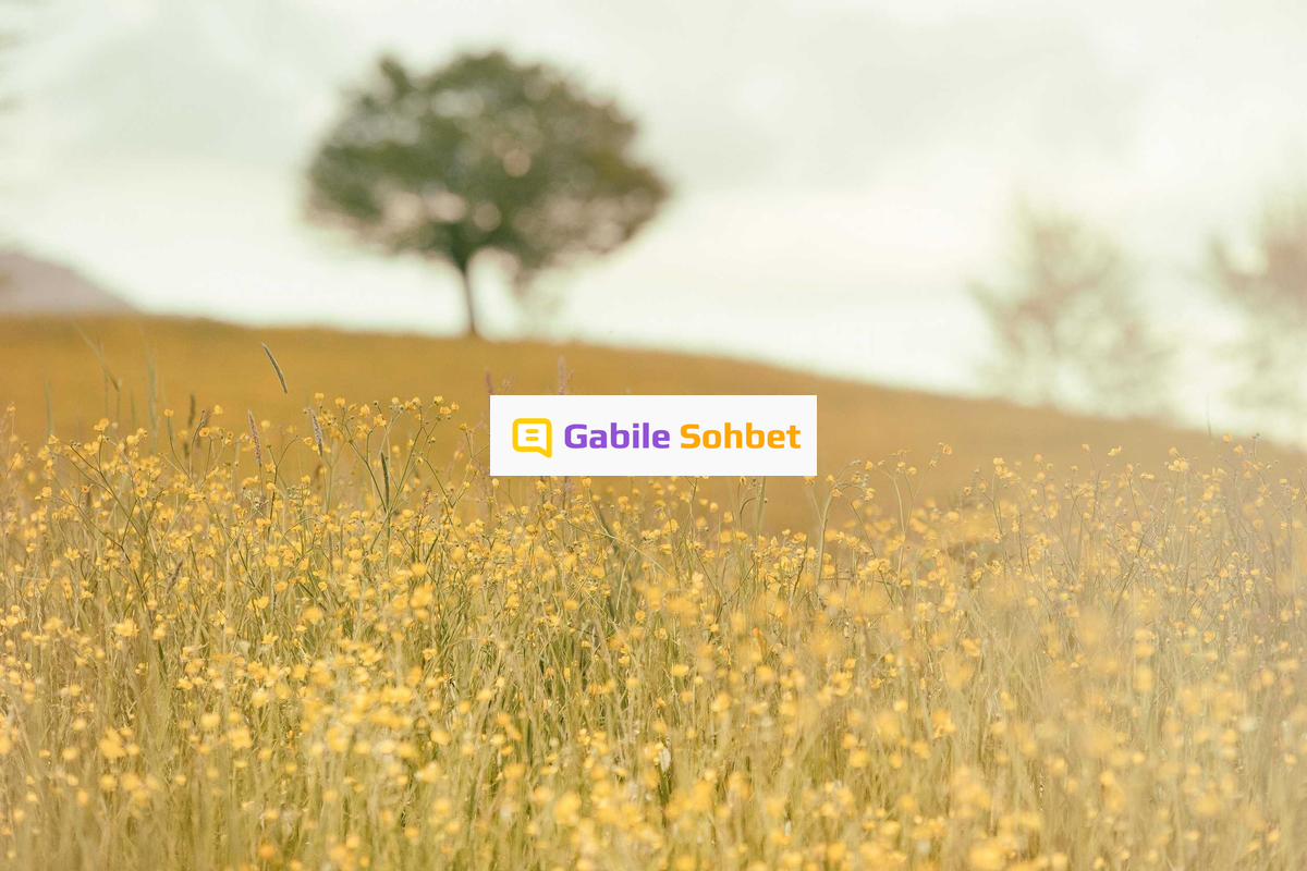 Online Muhabbet: Telegram Chat ve Liseli Sohbet