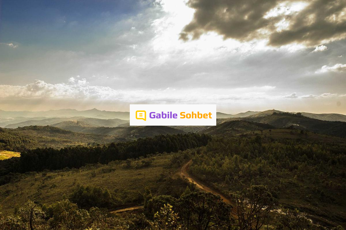 Random Chat: Online Muhabbet İpuçları