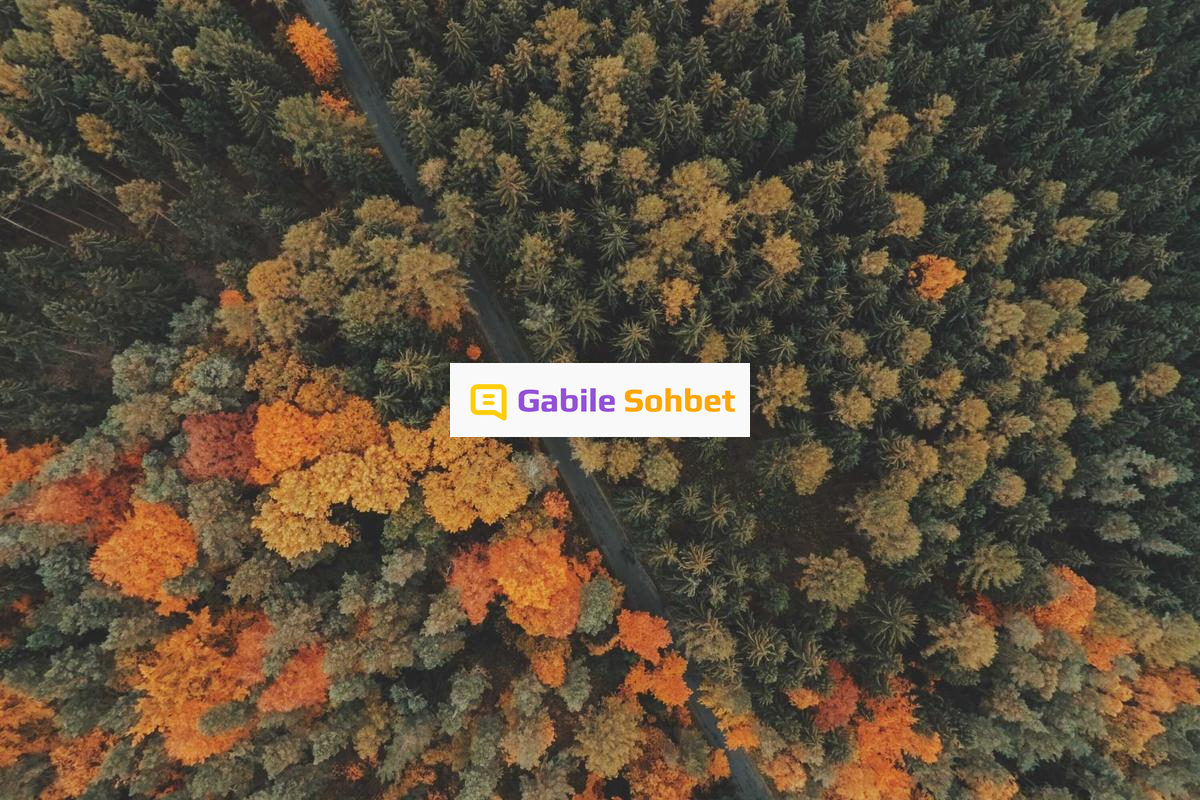 Random Sohbet: Yüzük Chat Sitesi