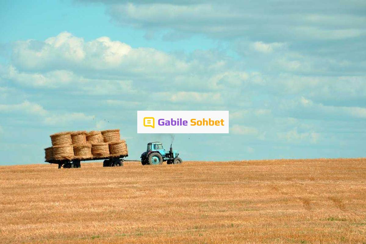 Siber Alem Sohbet: Mobil Chat Random