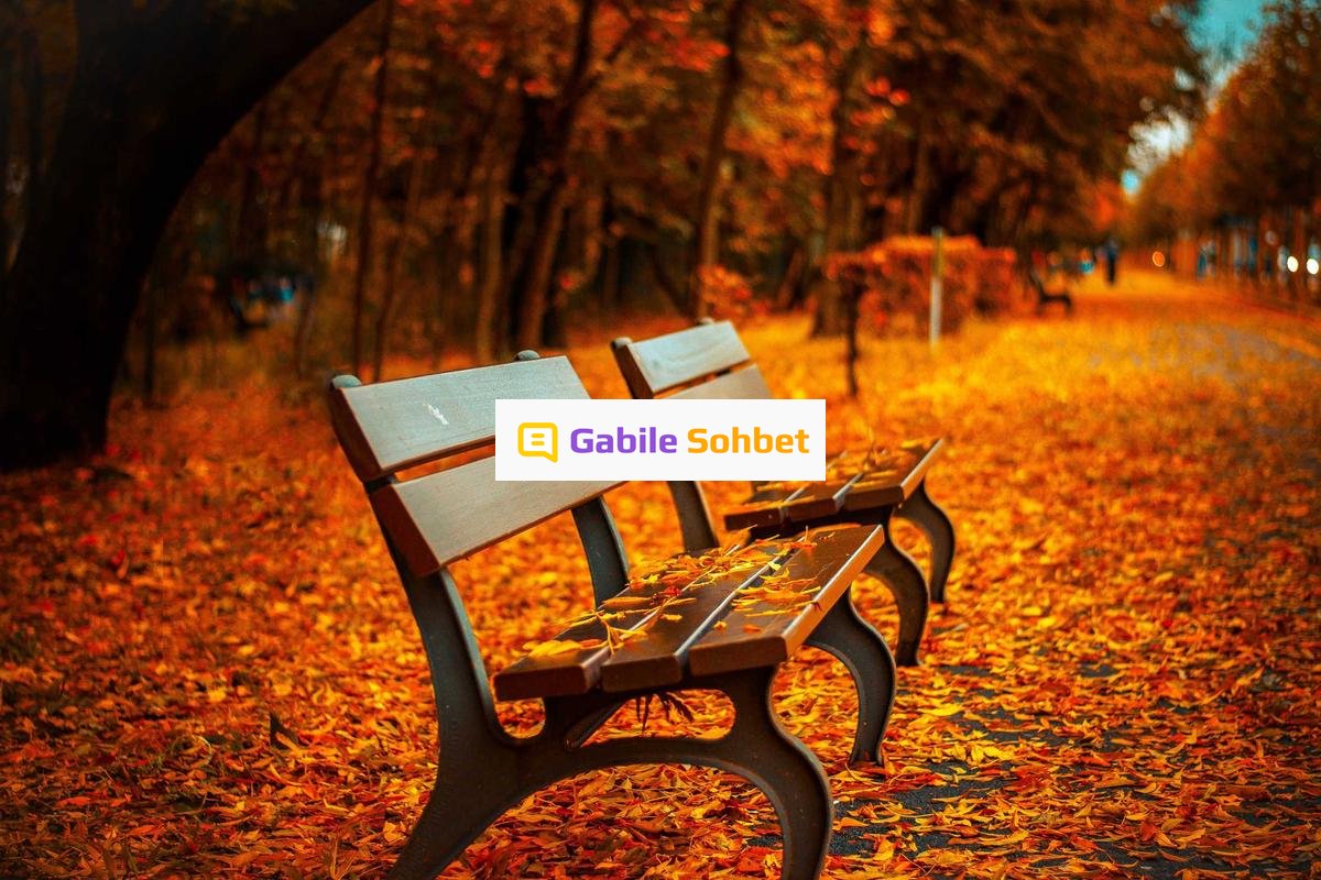 Sohbet Sitesi: Telegram Sohbet ve Muhabbet