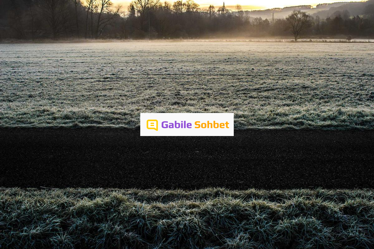 Whatsapp Chat: Geveze Sohbet ve Online Chat