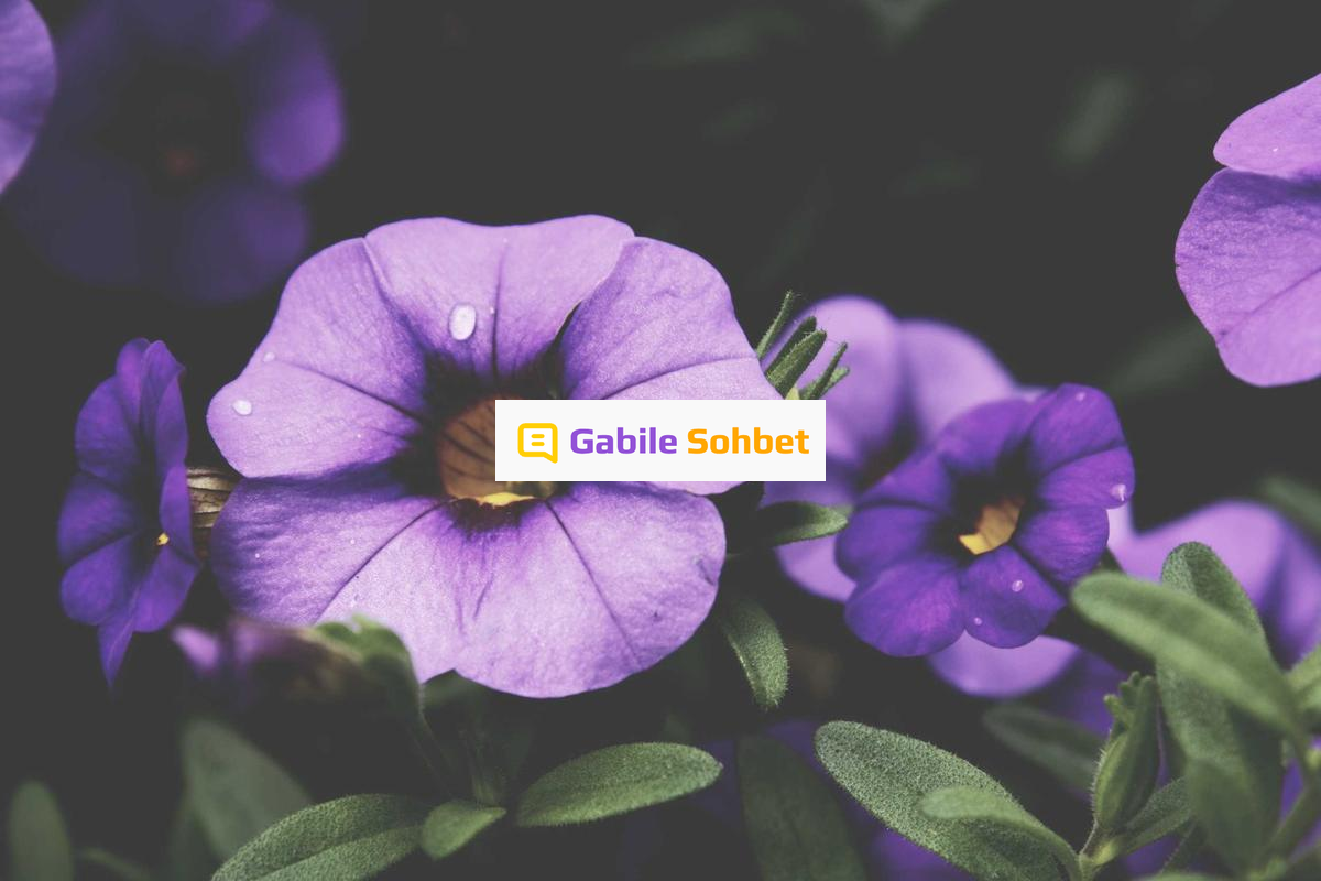 Görüntülü Chat: Yüzük Chat Sitesi