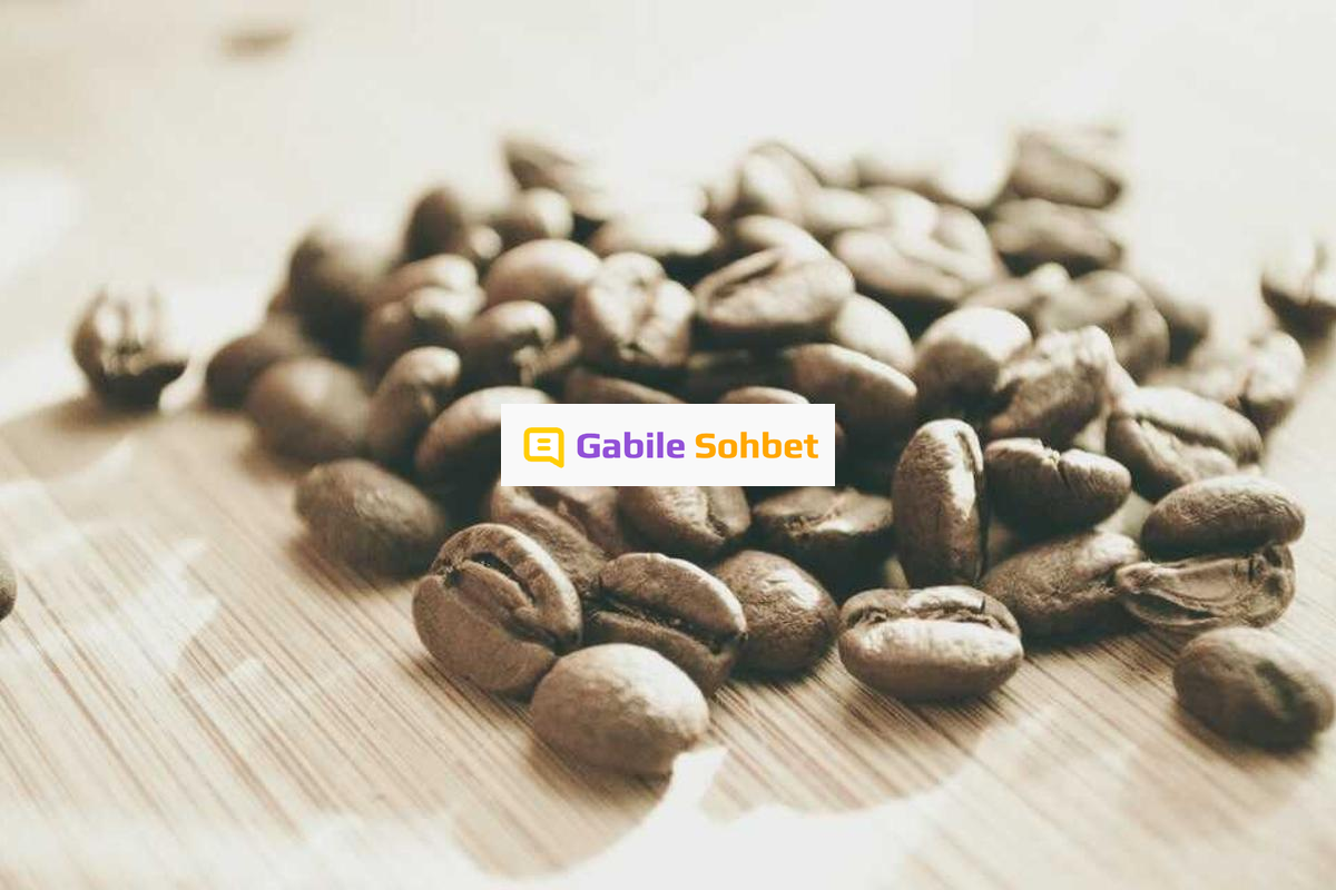 Mobil Sohbet: Whatsapp Telegram Sohbet