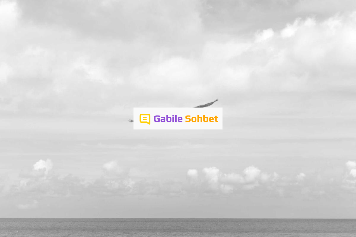 Online Chat Sitesi: Görüntülü Sesli Sohbet