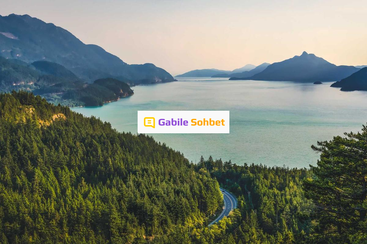 Online Muhabbet: Liseli Sohbet ve Sanal Chat