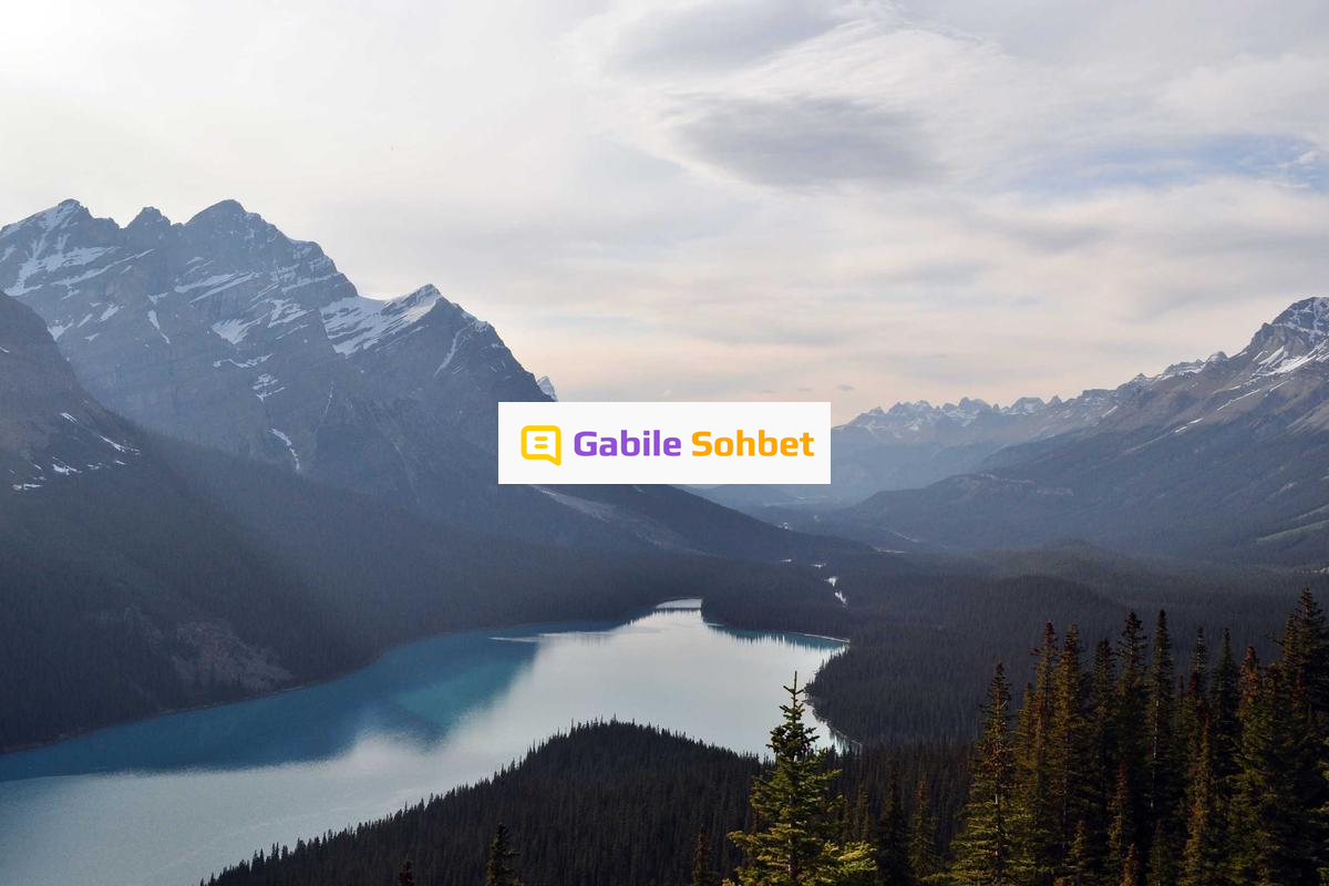 Sesli Chat: Liseli Sohbet Odaları