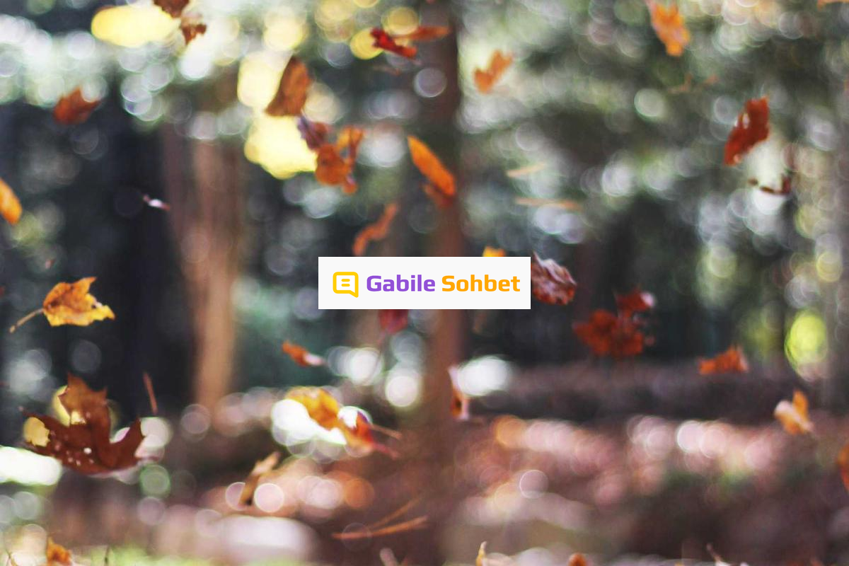 Sesli Sohbet: Sanal Chat Odaları