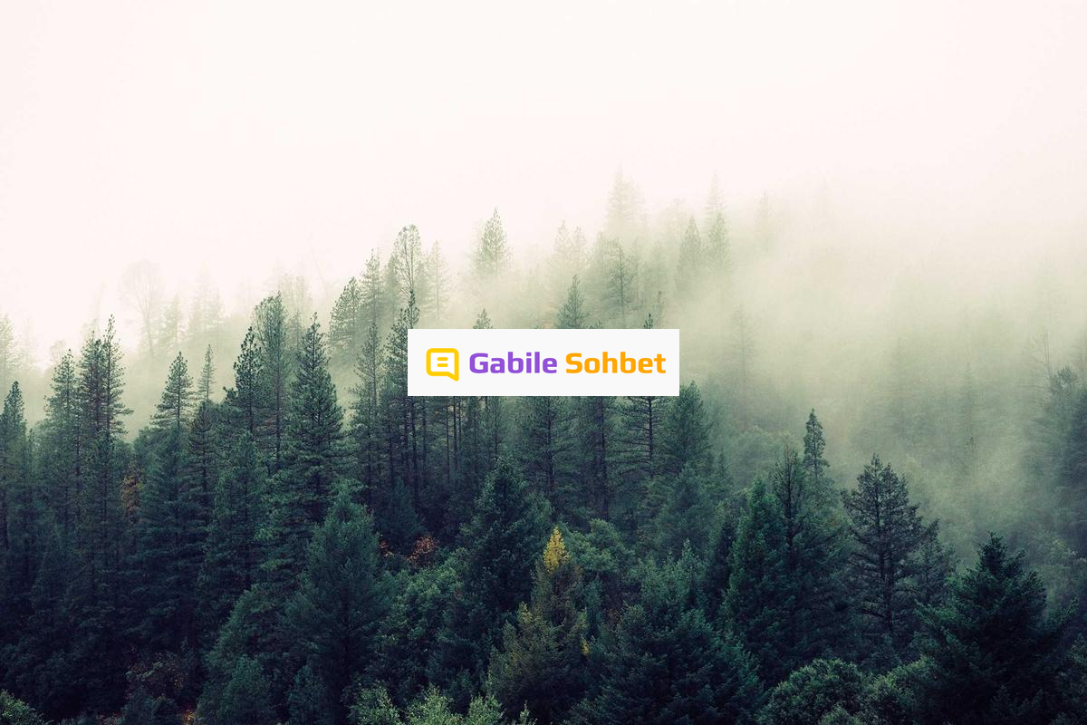 Sohbet Odaları: Yüzük Chat Random Seçenekleri