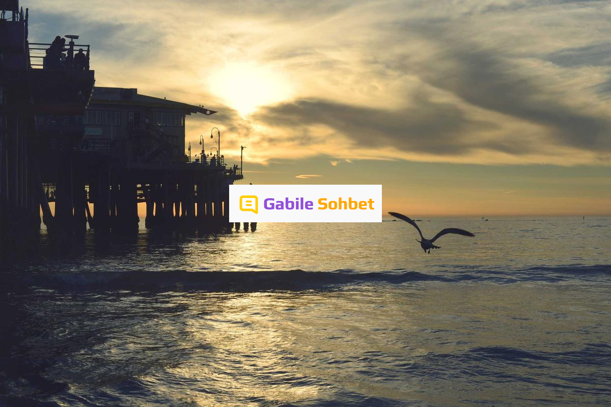 Whatsapp Sohbet: Mobil Chat Random