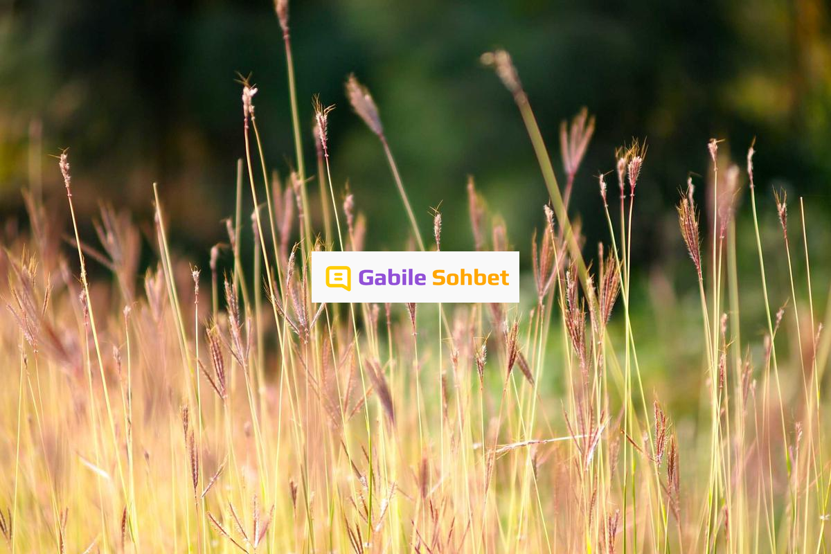 Görüntülü Chat: Random Sohbet ve Muhabbet