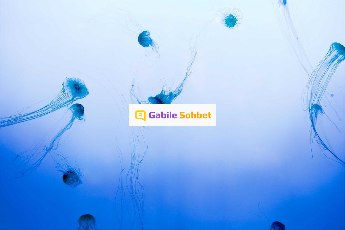 Online Chat: Omegle Alternatifi Mobil Sohbet