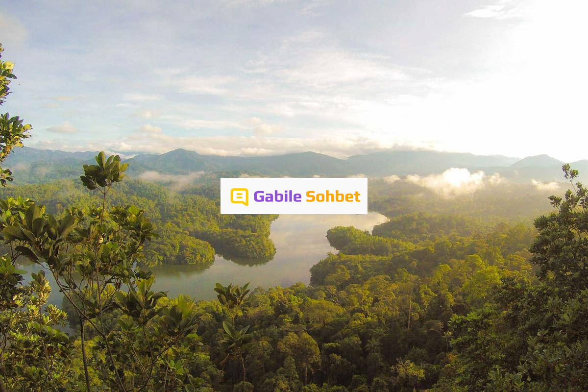 Sohbet Odaları: Mobil Chat Random Deneyimi